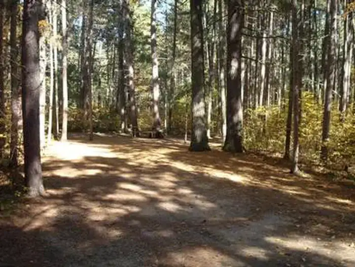 Camper-submitted photo at Norway Beach Loop near Cass Lake, MN