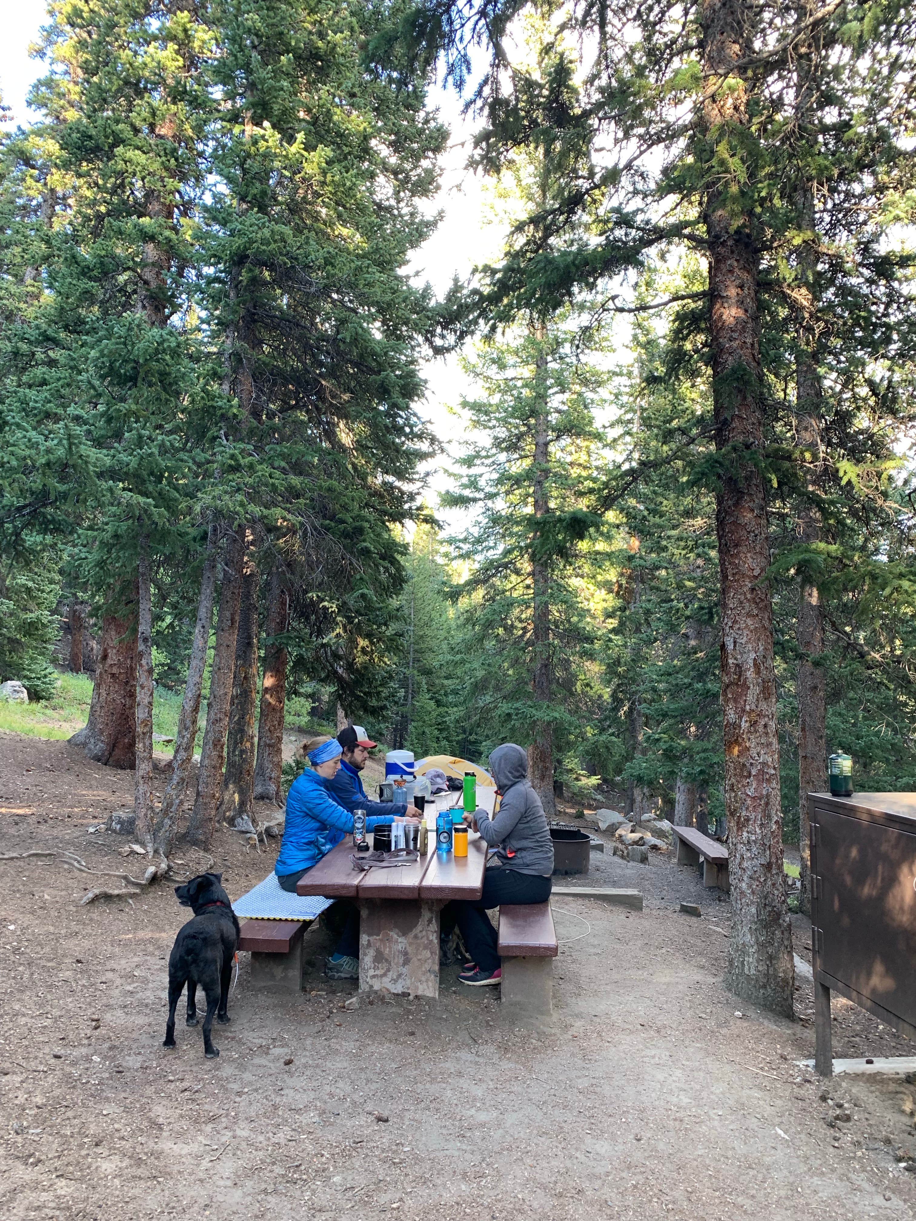 Kristi R.'s photo at Echo Lake Campground near Evergreen, CO