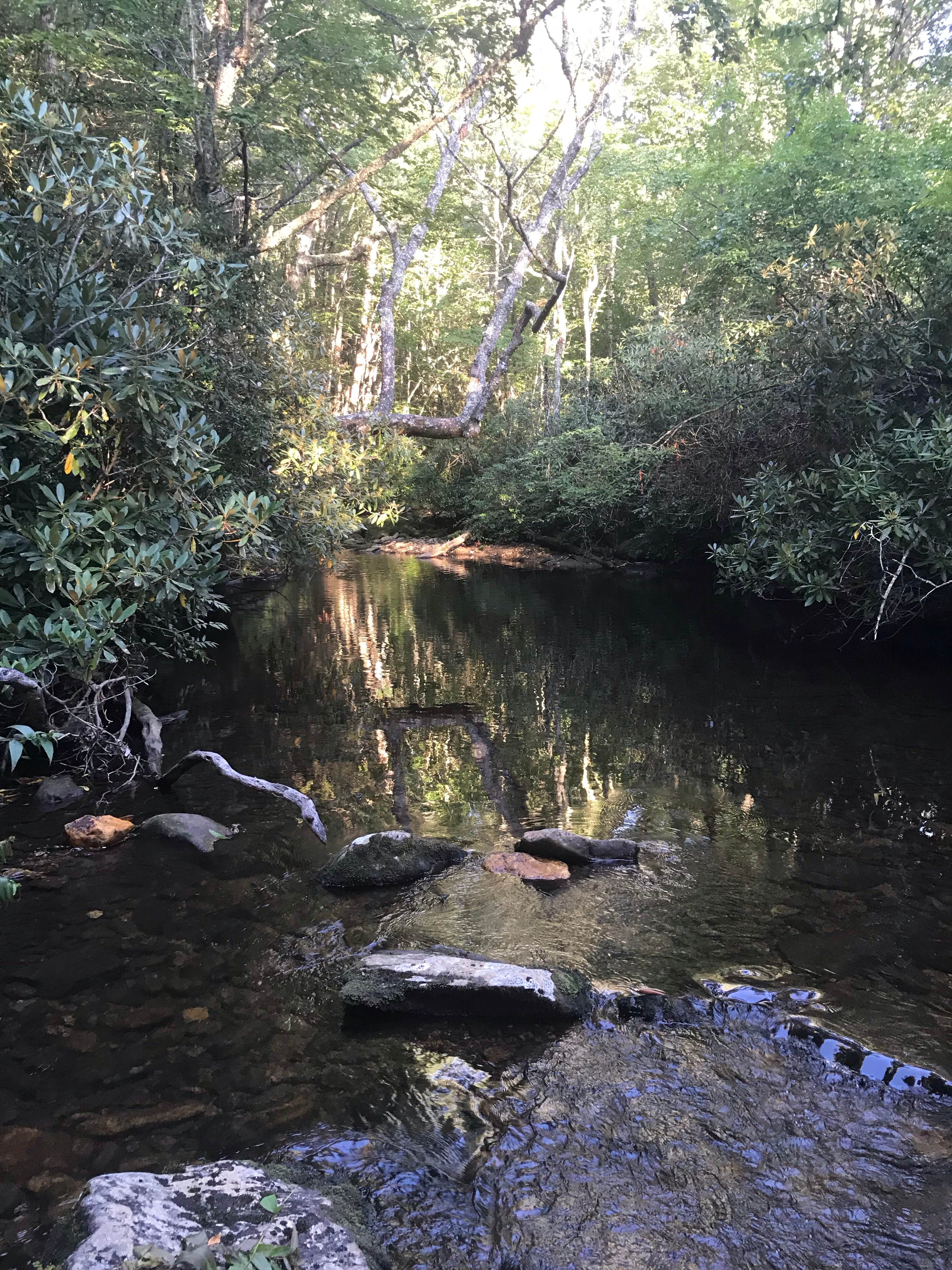 Camper-submitted photo at Nantahala National Forest near Tusquitee National Forest