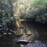 Review photo of Nantahala National Forest by Brian  B., August 19, 2019