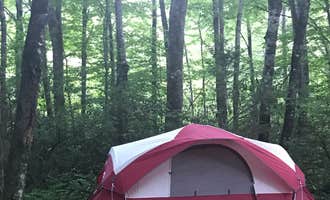 Camping near Wayah Bald Shelter: Nantahala National Forest, Nantahala National Forest, North Carolina