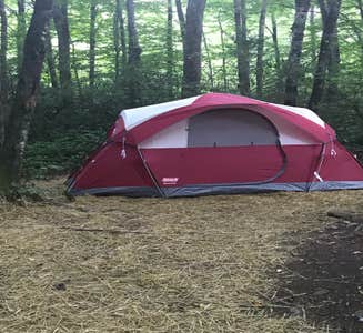 Camper-submitted photo from Nantahala National Forest