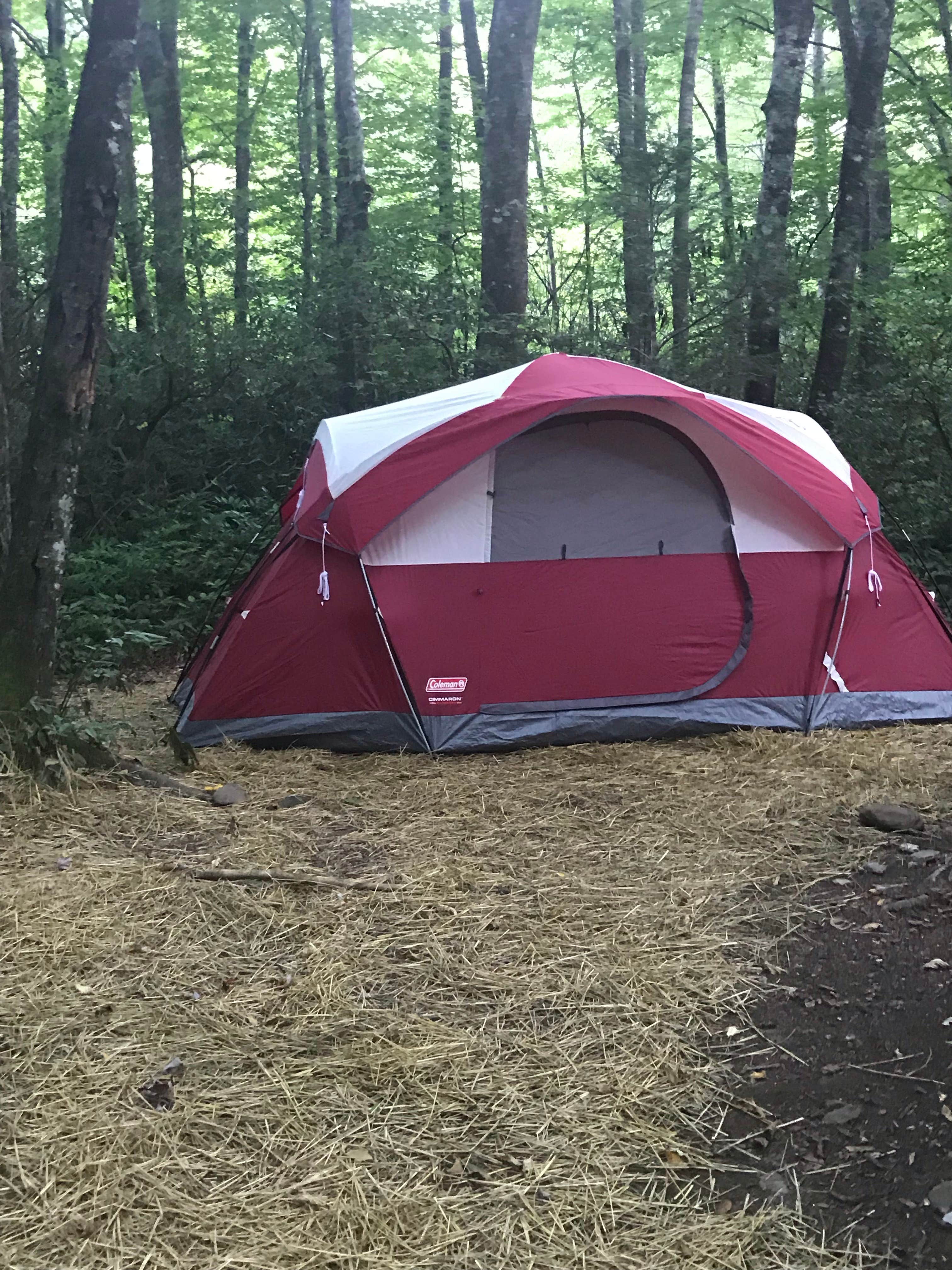 Camper submitted image from Nantahala National Forest - 1