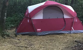 Camping near Blue Ridge Basecamp: Nantahala National Forest, Nantahala National Forest, North Carolina