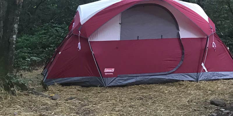 Camper submitted image from Nantahala National Forest