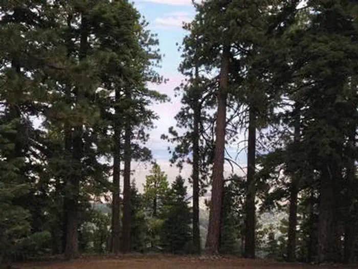 Camper submitted image from Jackson Flats - 1