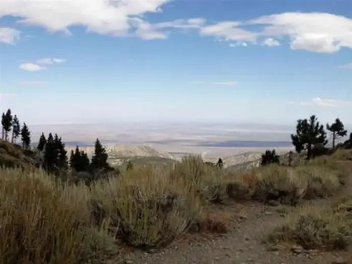 Camper-submitted photo at Jackson Flats near Valyermo, CA