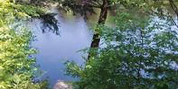 Camper submitted image from Twin Lakes NF Campground