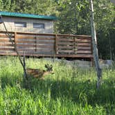 Review photo of East Portal Campground at Estes Park by Jennifer G., August 19, 2019