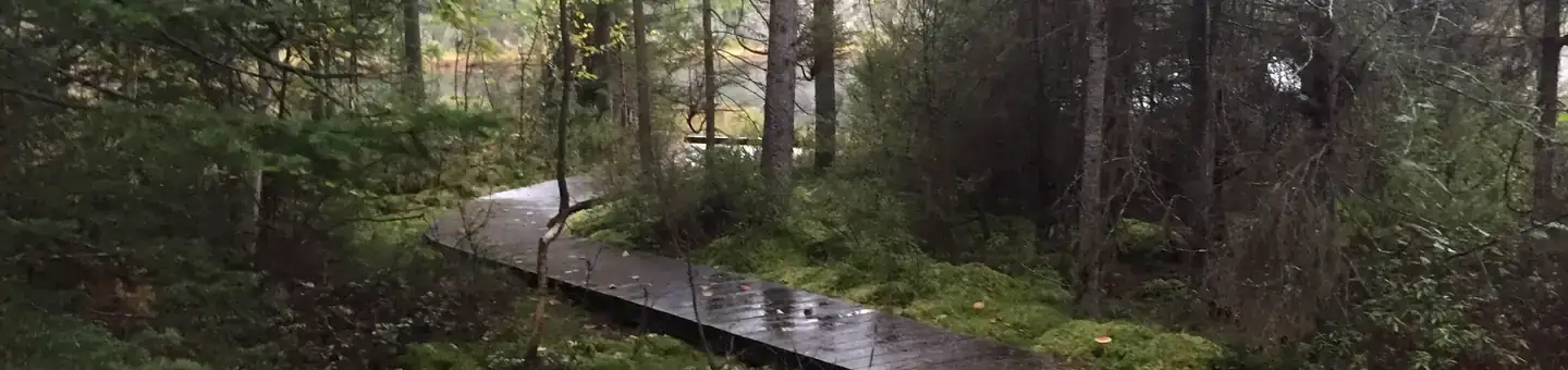 Camper-submitted photo at Twin Lakes NF Campground near Mercer, WI