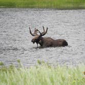 Review photo of East Portal Campground at Estes Park by Jennifer G., August 19, 2019