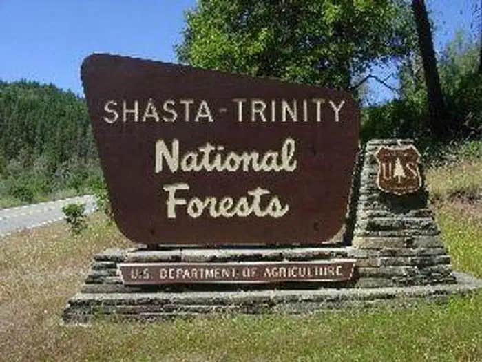 Camper submitted image from Trinity National Forest Fawn Group Campground - 1