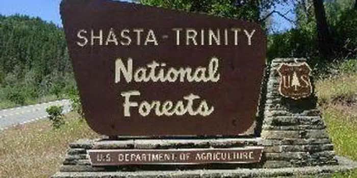 Camper submitted image from Trinity National Forest Fawn Group Campground