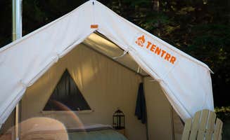 The Dyrt's photo at Cranberry Overlook at Black Moon Farms near Myrtle Point, OR