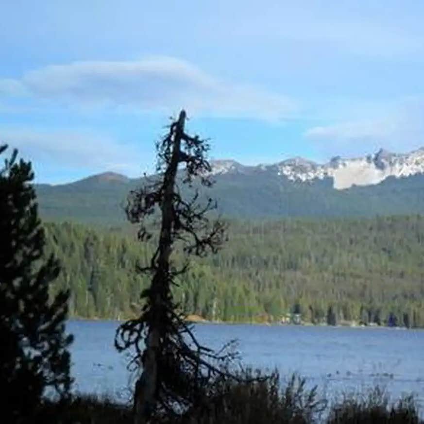 Thielsen View Campground