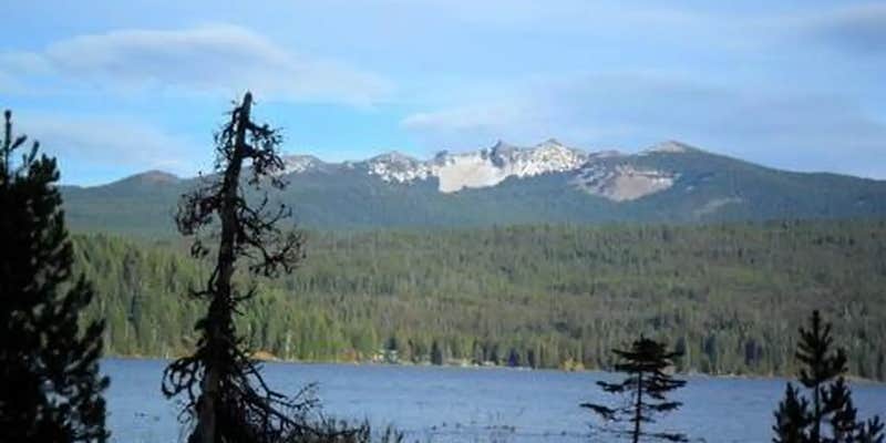 Camper submitted image from Thielsen View Campground