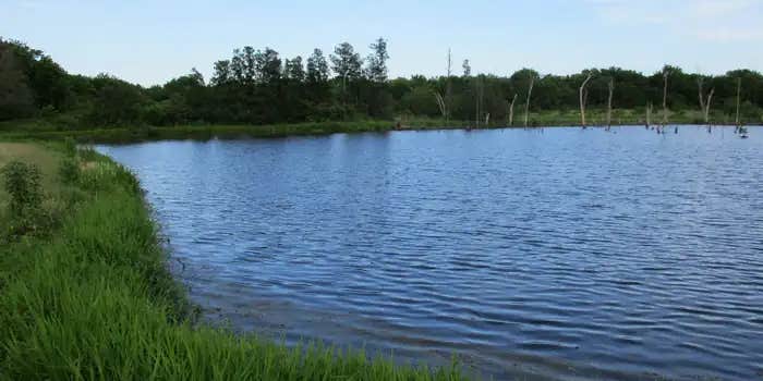 Camper submitted image from Blue Bill Point