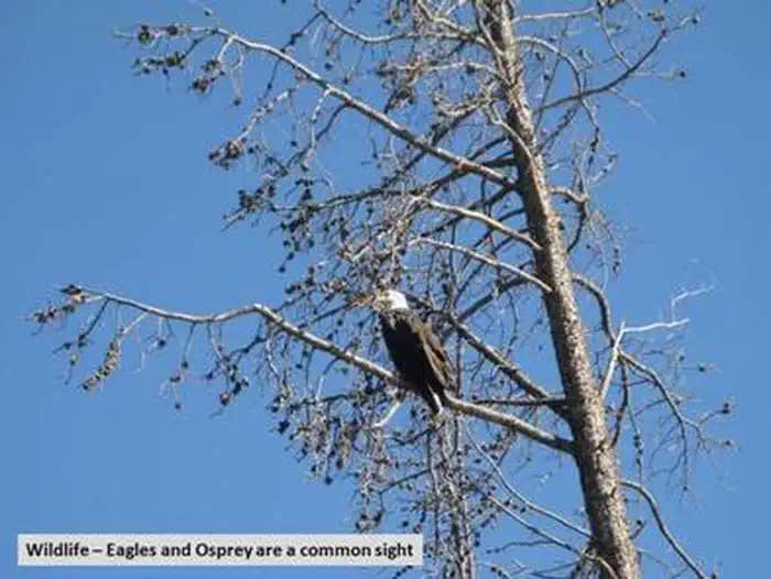 Camper submitted image from Big Creek Lakes Campground - 1