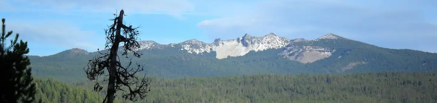 Camper-submitted photo at Thielsen View Campground near Clearwater, OR