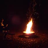 Review photo of Davidson River Campground by Dave V., September 27, 2016