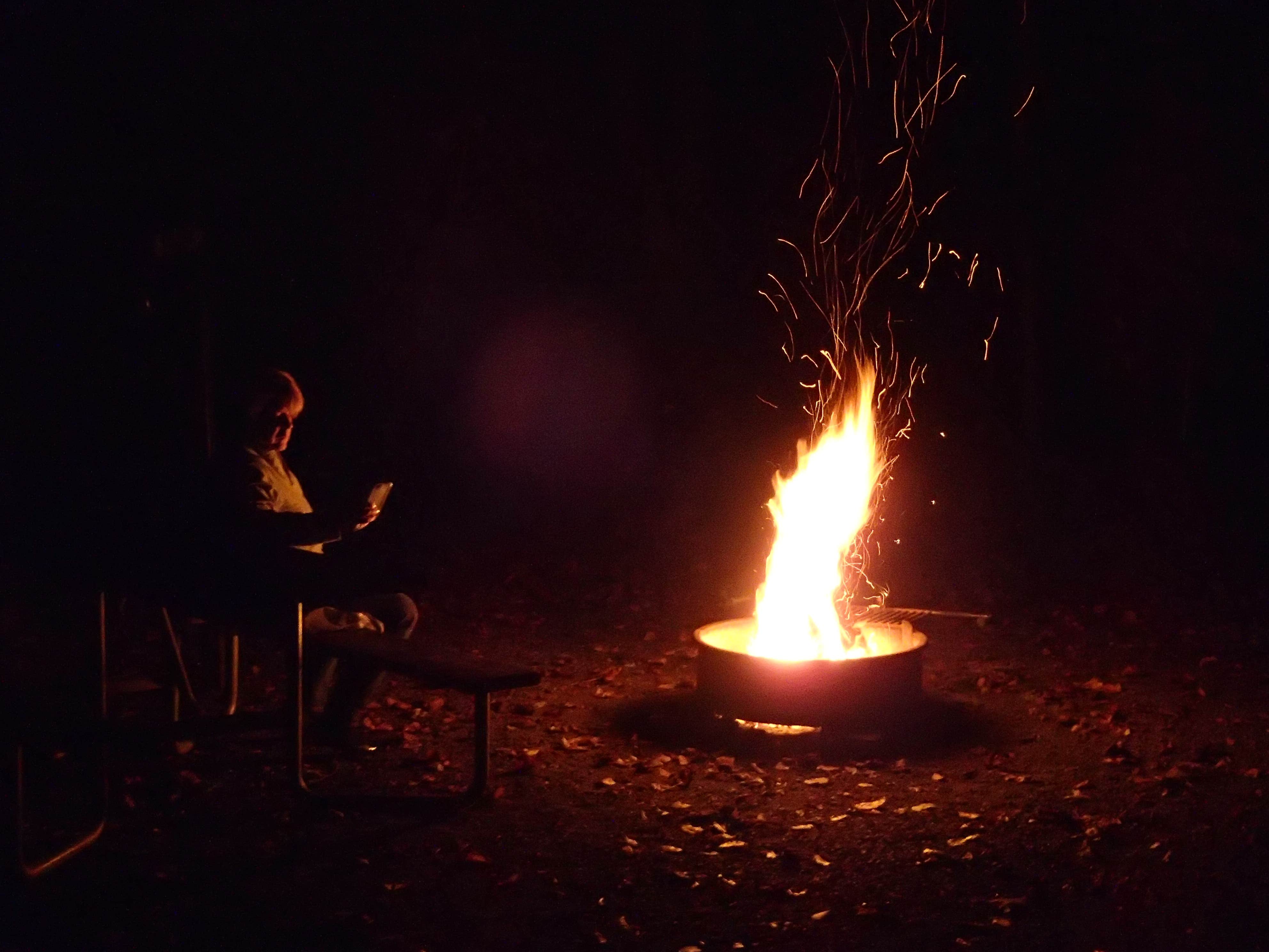 Camper submitted image from Davidson River Campground - 4