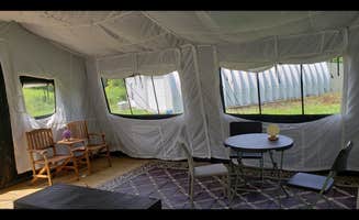 The Dyrt's photo at Bear Bridge Camp near Lawrenceville, PA