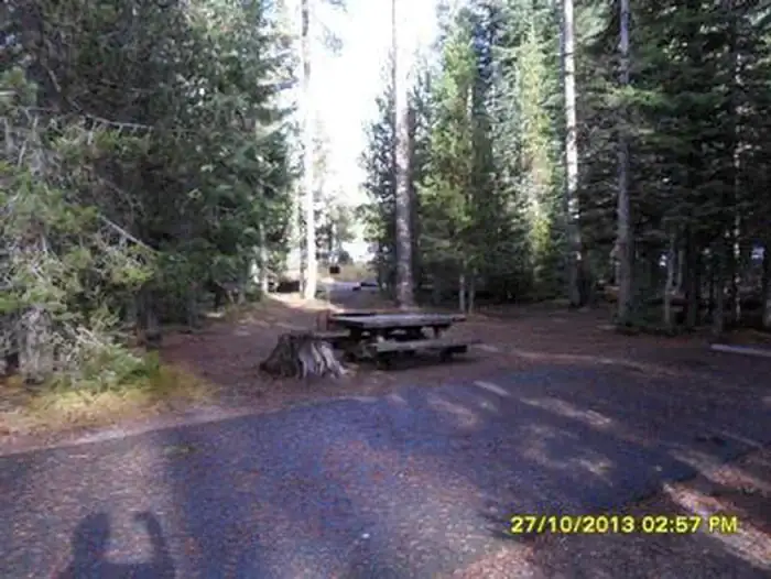 Camper-submitted photo at Thielsen View Campground near Clearwater, OR