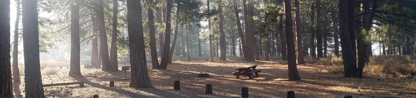 Camper submitted image from Prosser Family - 1