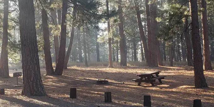 Camper submitted image from Prosser Family