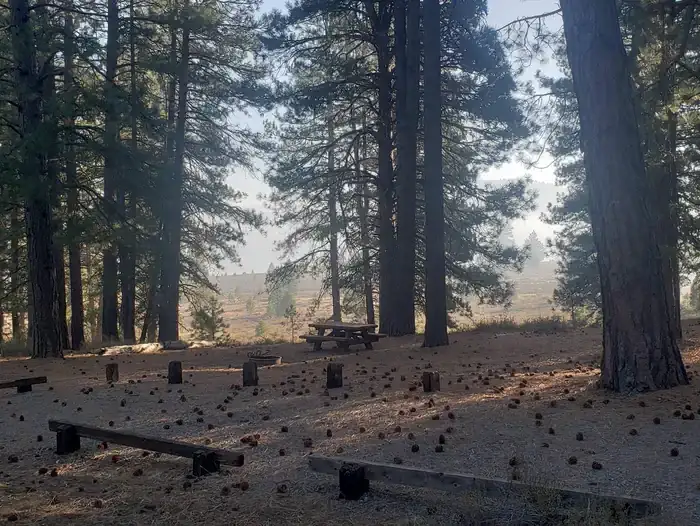 Camper-submitted photo at Prosser Family near Floriston, CA