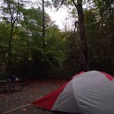 Review photo of Davidson River Campground by Dave V., September 27, 2016
