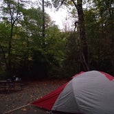 Review photo of Davidson River Campground by Dave V., September 27, 2016