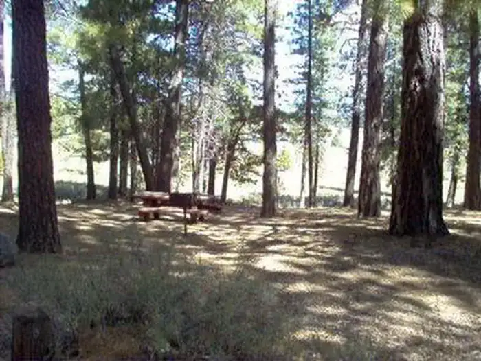 Camper-submitted photo at Prosser Family near Floriston, CA