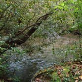 Review photo of Davidson River Campground by Dave V., September 27, 2016