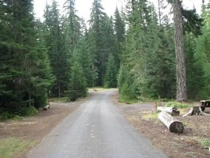 Camper-submitted photo at Clackamas Lake near Rhododendron, OR