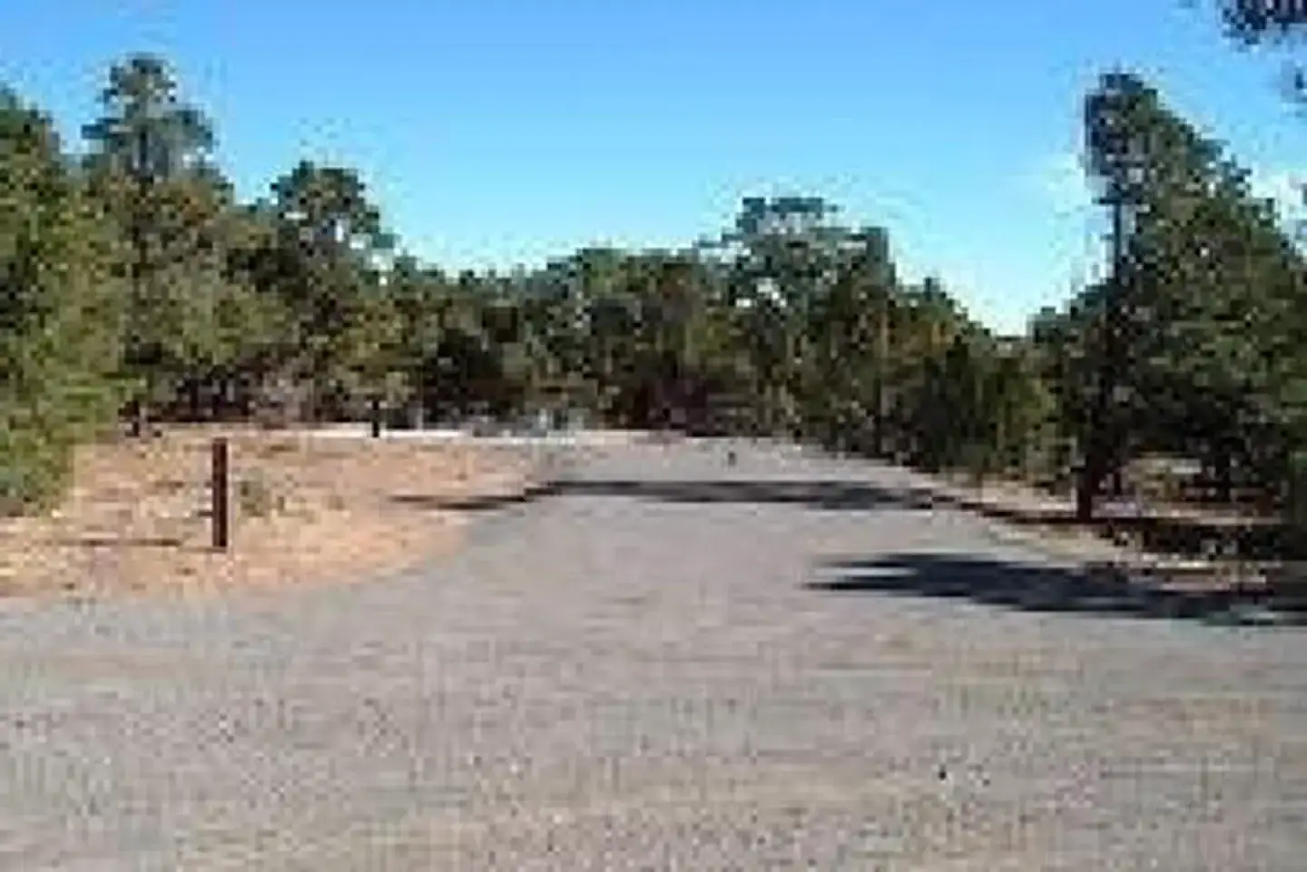 Camper-submitted photo at Lower Bowns near Capitol Reef National Park