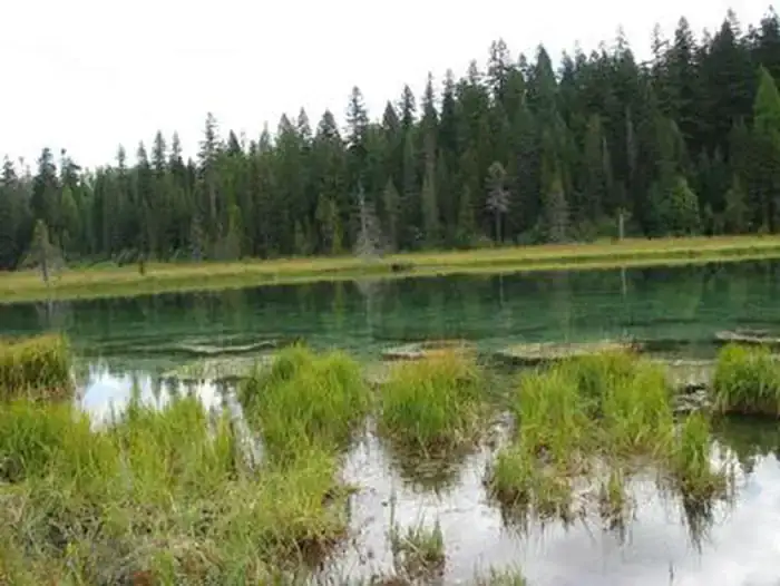 Camper-submitted photo at Clackamas Lake near Rhododendron, OR