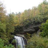 Review photo of Davidson River Campground by Dave V., September 27, 2016