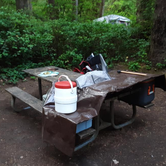 Review photo of Jessie M. Honeyman Memorial State Park Campground by Ryan W., August 19, 2019
