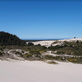 Review photo of Jessie M. Honeyman Memorial State Park Campground by Ryan W., August 19, 2019