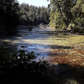 Review photo of Jessie M. Honeyman Memorial State Park Campground by Ryan W., August 19, 2019