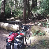Review photo of Jessie M. Honeyman Memorial State Park Campground by Ryan W., August 19, 2019