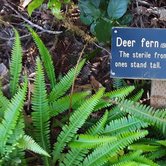 Review photo of Jessie M. Honeyman Memorial State Park Campground by Ryan W., August 19, 2019