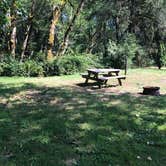 Review photo of Camper Cove RV park by Katy B., August 20, 2019