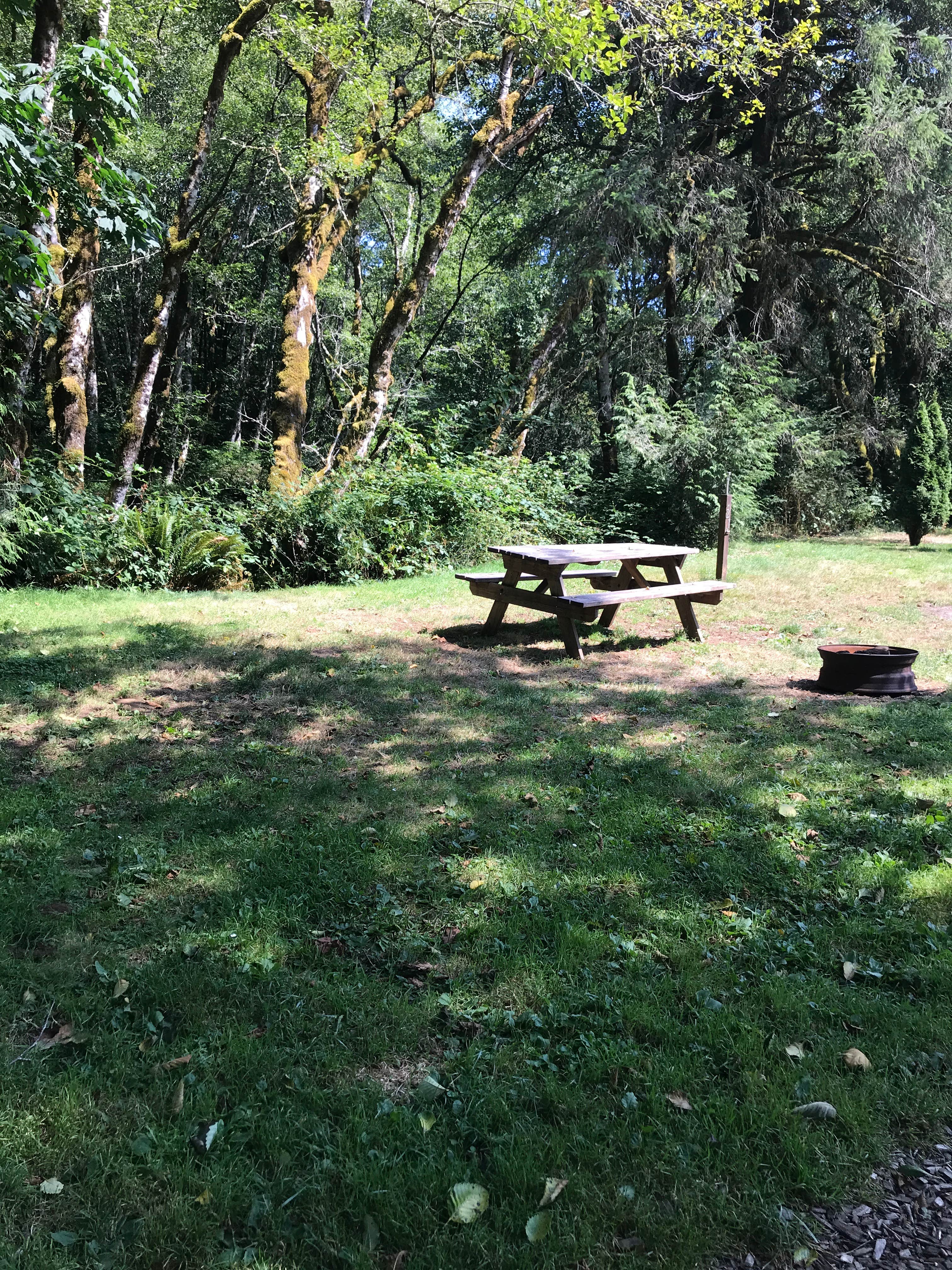 Camper submitted image from Camper Cove RV park - 2