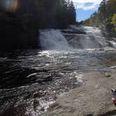 Review photo of Davidson River Campground by Dave V., September 27, 2016