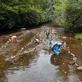 Review photo of Standing Indian Campground by Chris G., August 20, 2019