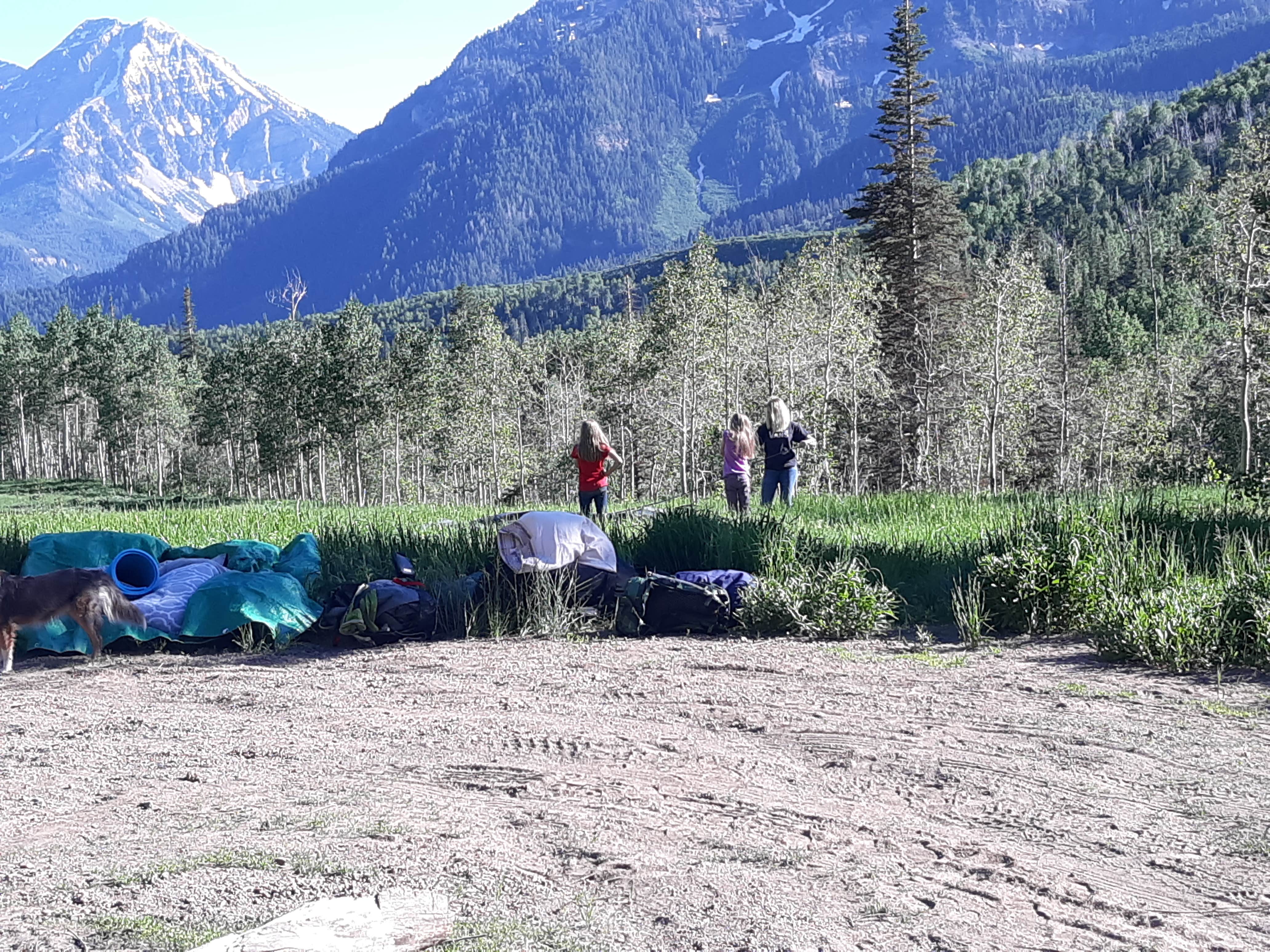 Camper submitted image from Silver Lake Backcountry - 2