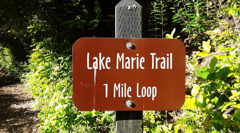 Camper-submitted photo at Umpqua Lighthouse State Park Campground near Coos Bay, OR