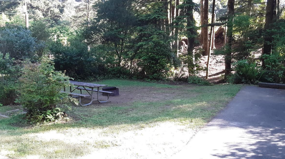 Camper-submitted photo at Umpqua Lighthouse State Park Campground near Coos Bay, OR